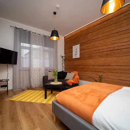Renovated Studio With Wooden Interior, Central Rakvere Rakvere