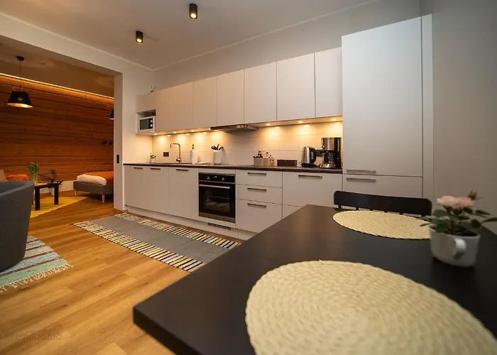 Renovated Studio With Wooden Interior, Central Rakvere * Rakvere