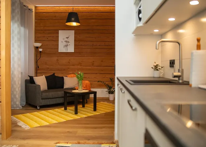 Apartament Renovated Studio With Wooden Interior, Central Rakvere Rakvere