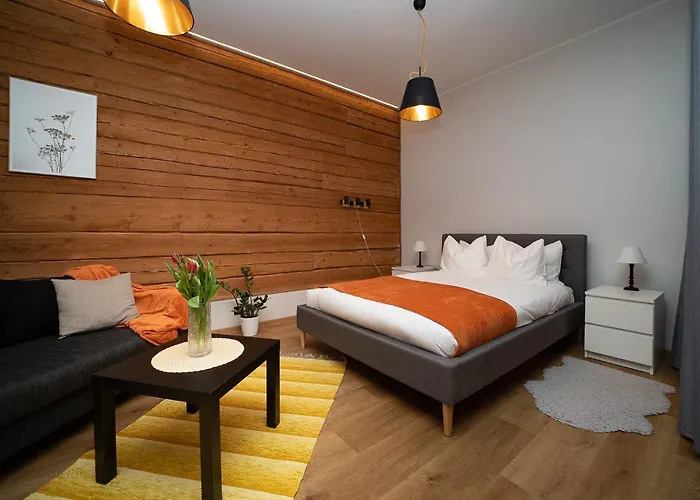 Renovated Studio With Wooden Interior, Central Rakvere * Rakvere