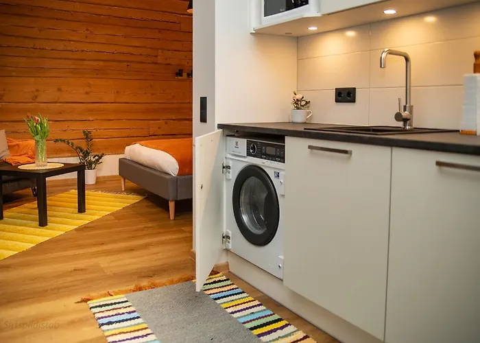 Renovated Studio With Wooden Interior, Central Rakvere